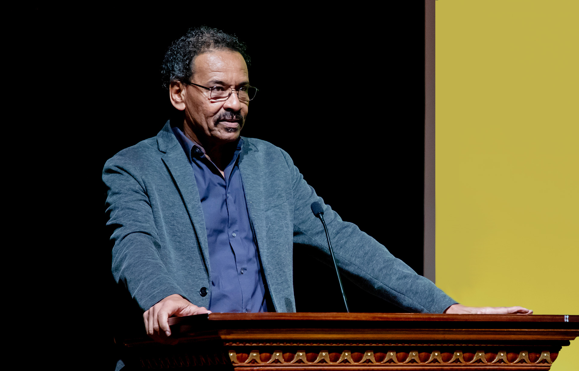 Salah M. Hassan
