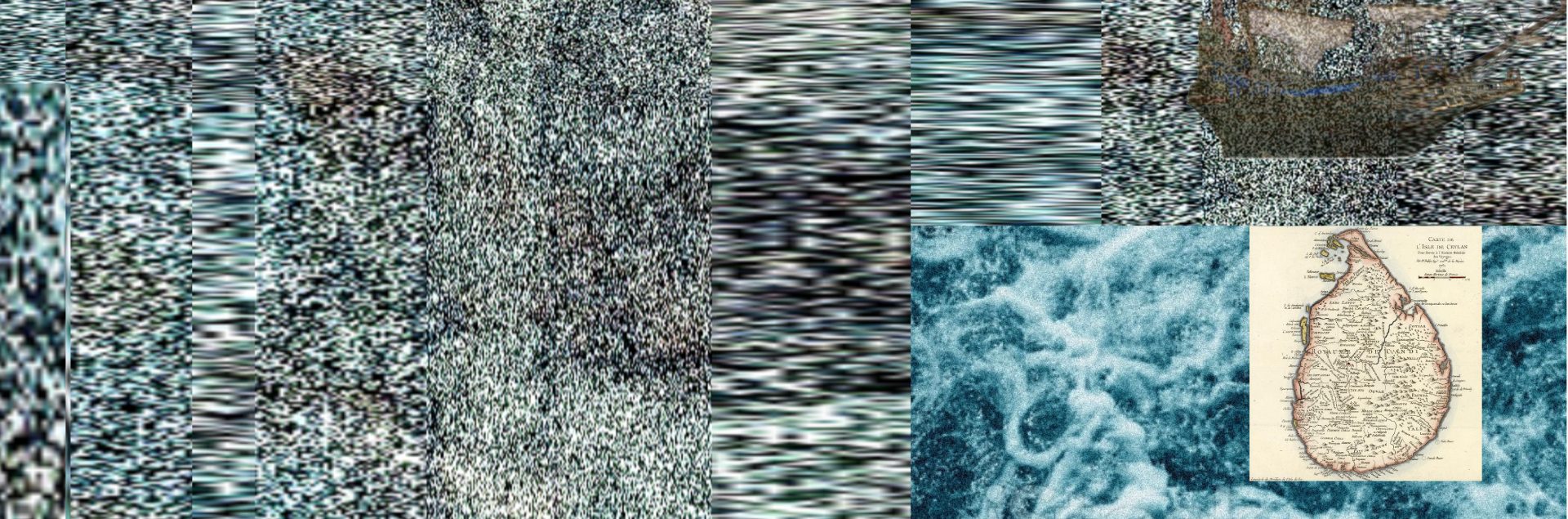 Intertwined Ecologies and Interconnected Histories: The Indian Ocean Rim