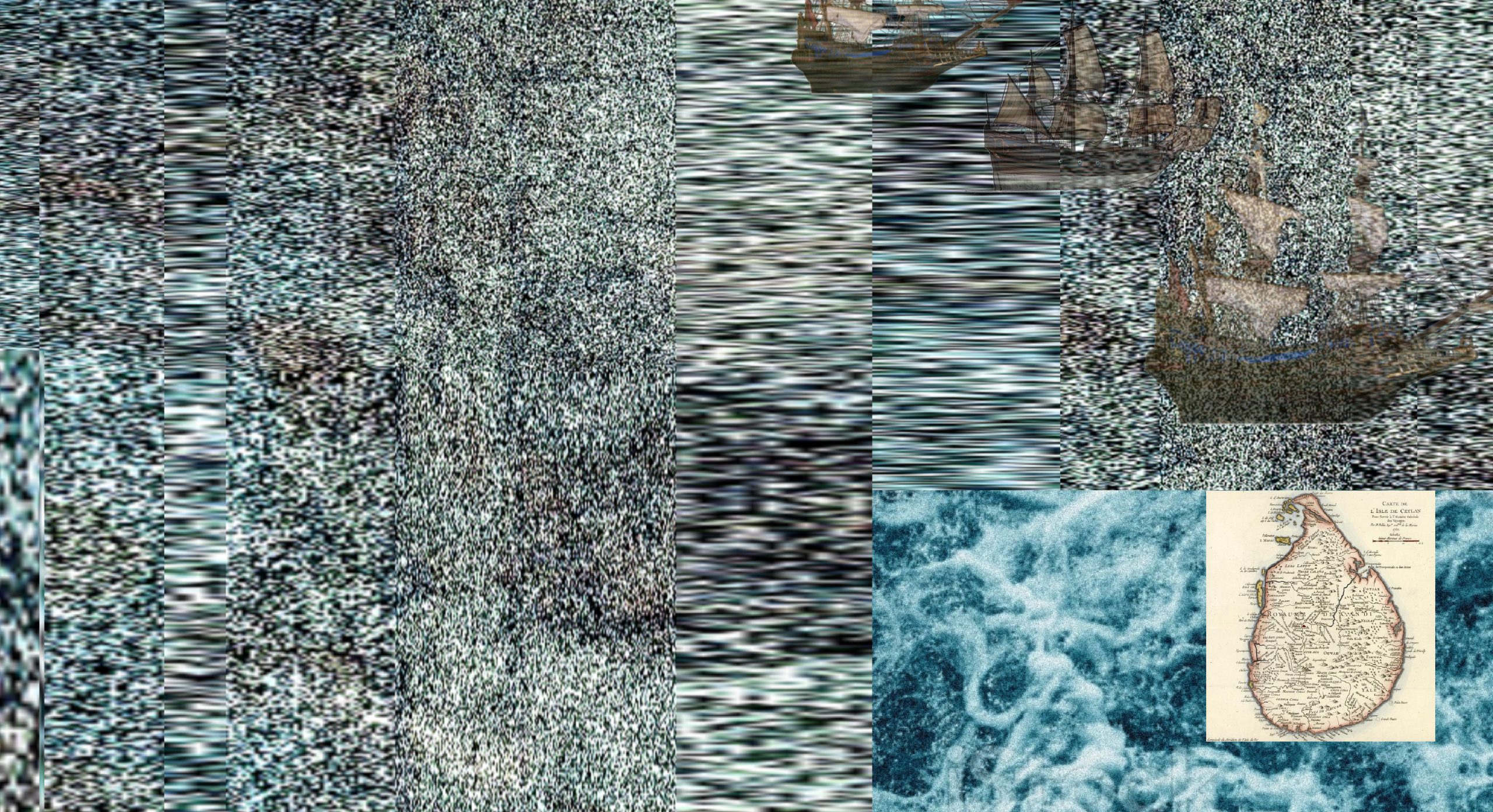 Intertwined Ecologies and Interconnected Histories: The Indian Ocean Rim